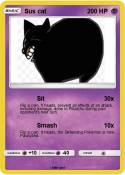 Sus cat