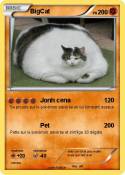 BigCat
