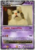 Mr. Cat