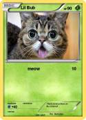 Lil Bub