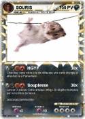 SOURIS