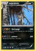 mega plante