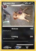 Sideways dog