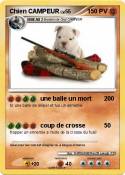 Chien CAMPEUR