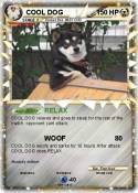 COOL DOG
