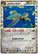 random turtule