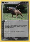 My doge