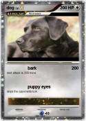 dog