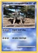 loup-lagotto