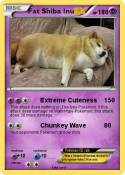 Fat Shiba Inu