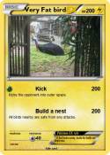 Very Fat bird