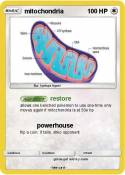 mitochondria