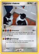 mignions chaton