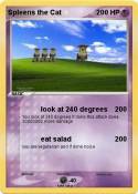 Spleens the Cat