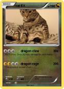 cat EX