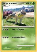 berger allemand