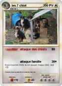 les 7 chiot