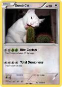 Dumb Cat
