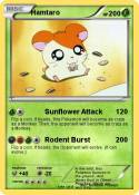Hamtaro