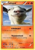 bellogoat