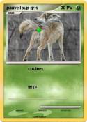 pauve loup gris
