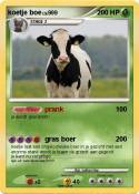 koetje boe