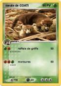 meute de COATI