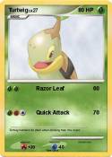 Turtwig