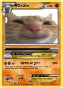 Gatito
