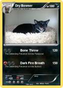 Dry Bowser