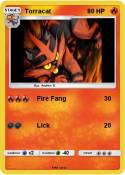 Torracat
