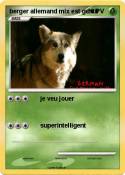 berger allemand