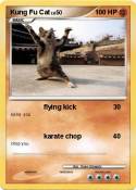 Kung Fu Cat