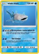 whale shark