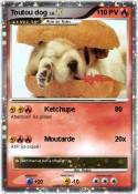 Toutou dog
