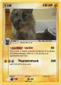 c cat