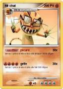Mr chat