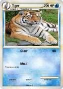 Tiger