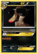 cool duck