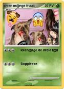 chien m@nge