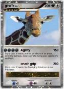 giraffe
