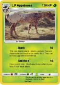 L.P Appaloosa