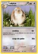 caliptus