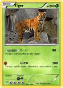 Tiger