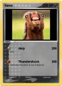 llama