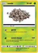 seeds