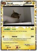 the cat