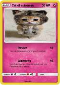 Cat of cuteness
