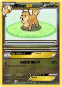 Doge