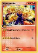super guerrier
